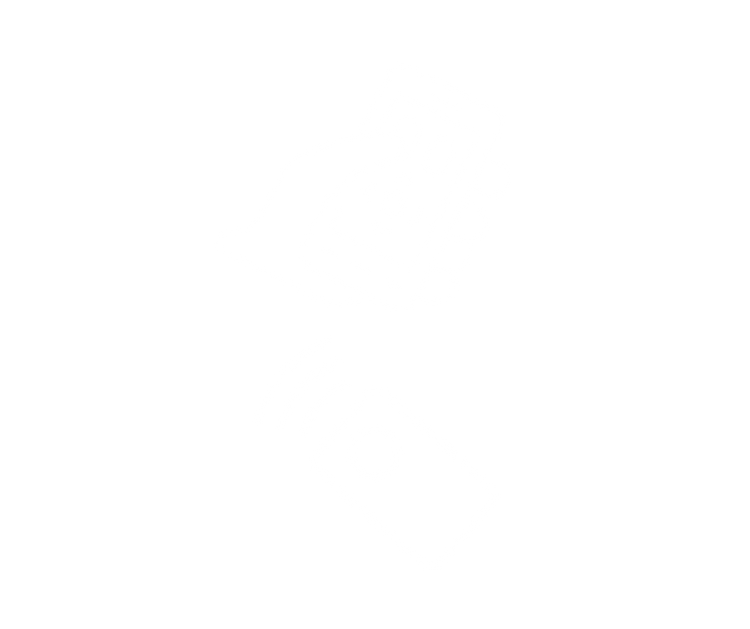 📲 Play From Anywhere