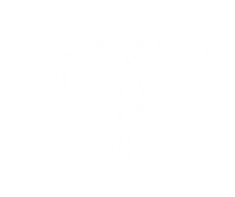 🍓 Sweet & Balanced