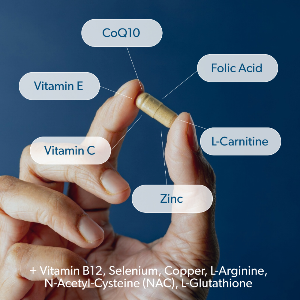 SWMR Fertility Daily Supplement - Coco's Candyland