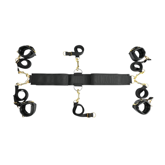 Special Edition Under the Bed Restraint System®